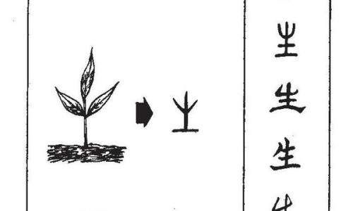 简单功效系数计算公式-简单功效系数计算公式-功效的公式是什么,中国公式的功效网站